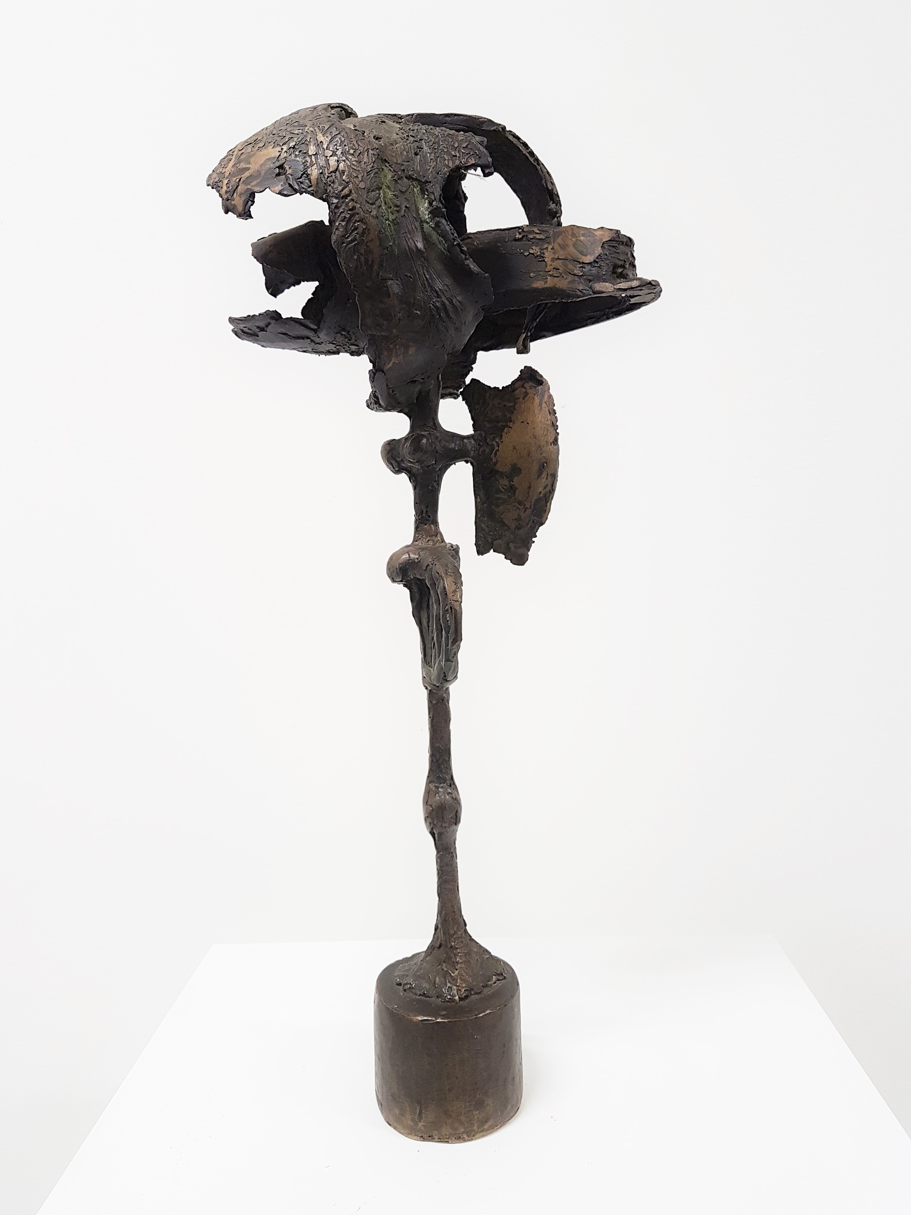 Strijder (1974)
